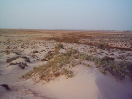 sahara